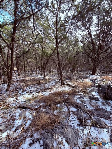 311 Serenity Pass, Spring Branch, TX 78070