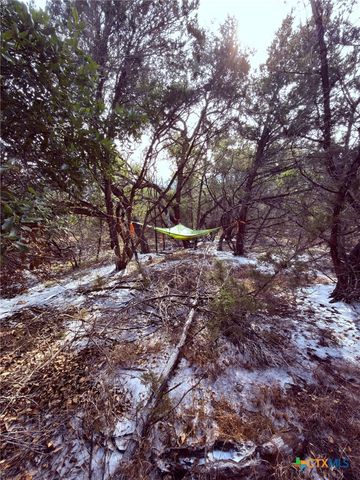 311 Serenity Pass, Spring Branch, TX 78070