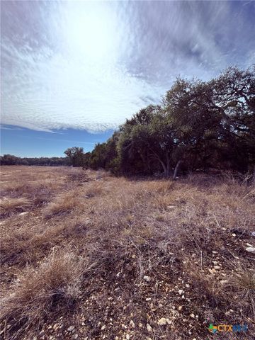 311 Serenity Pass, Spring Branch, TX 78070