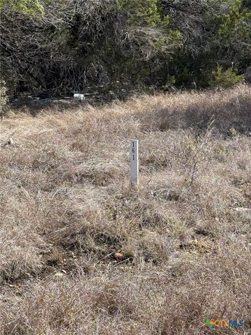 311 Serenity Pass, Spring Branch, TX 78070