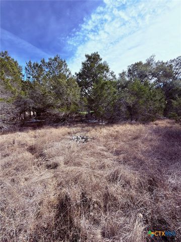 311 Serenity Pass, Spring Branch, TX 78070