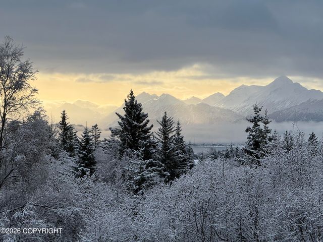 4924 Thompson Drive, Homer, AK 99603