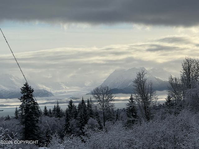 4924 Thompson Drive, Homer, AK 99603