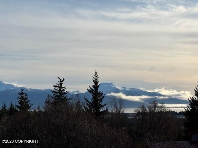 4924 Thompson Drive, Homer, AK 99603