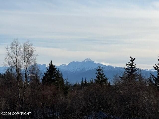 4924 Thompson Drive, Homer, AK 99603