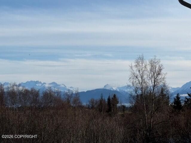 4924 Thompson Drive, Homer, AK 99603