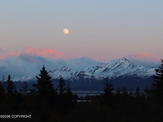 4924 Thompson Drive, Homer, AK 99603