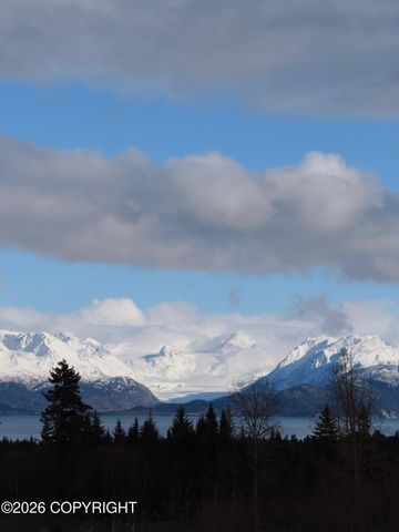4924 Thompson Drive, Homer, AK 99603