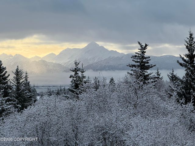 4924 Thompson Drive, Homer, AK 99603