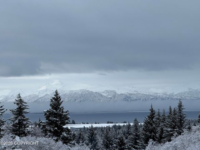 4924 Thompson Drive, Homer, AK 99603