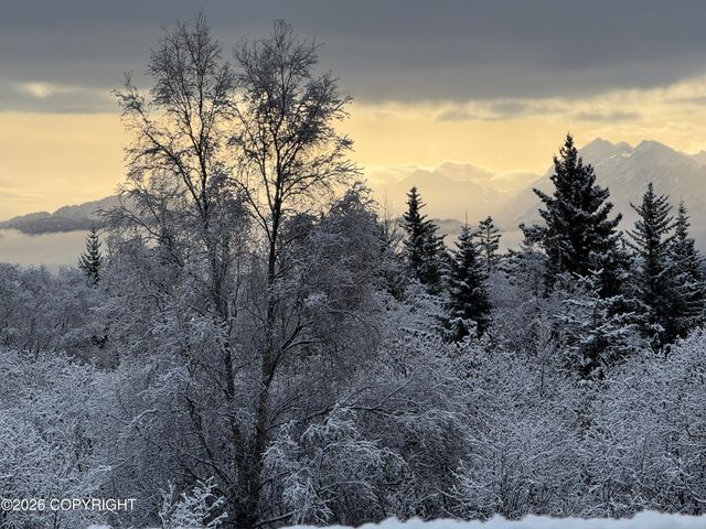 4924 Thompson Drive, Homer, AK 99603