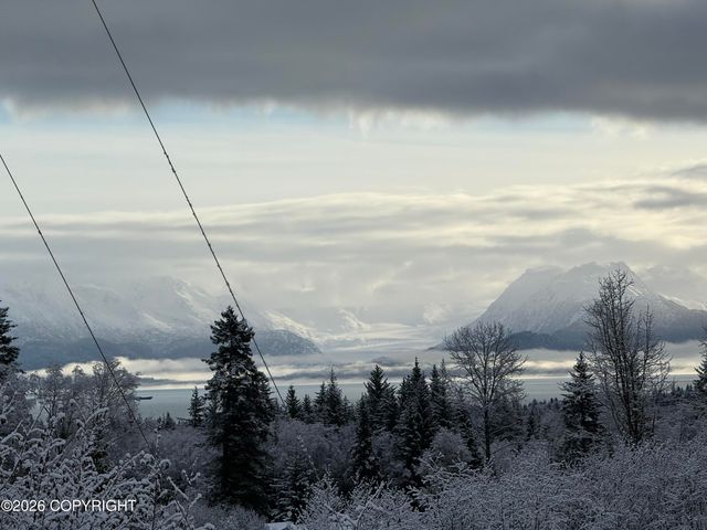 4924 Thompson Drive, Homer, AK 99603