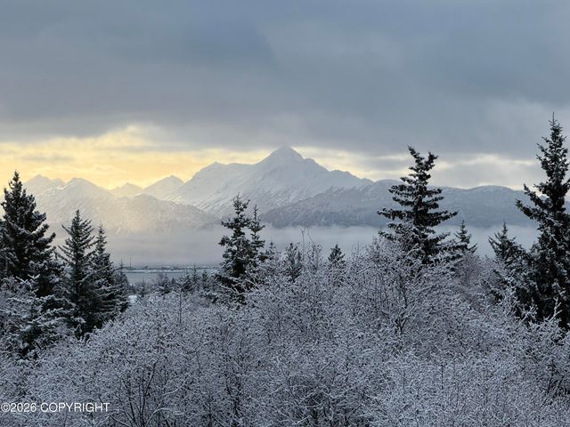 4924 Thompson Drive, Homer, AK 99603