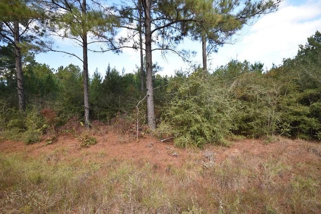 0 Bo Brown Road, Trinity, TX 75862