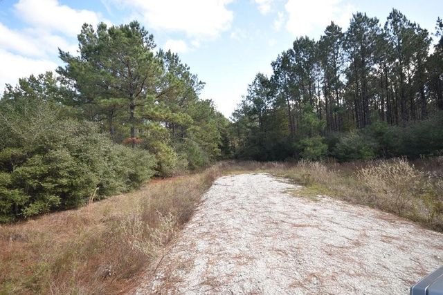 0 Bo Brown Road, Trinity, TX 75862