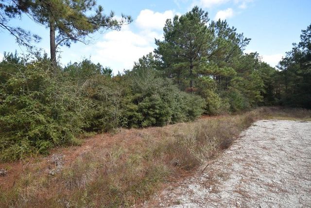 0 Bo Brown Road, Trinity, TX 75862