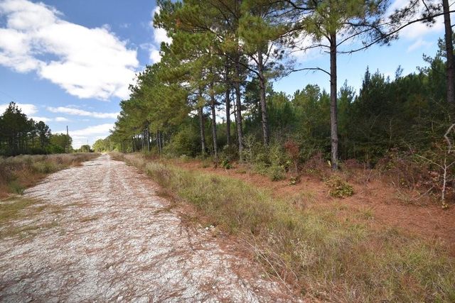 0 Bo Brown Road, Trinity, TX 75862