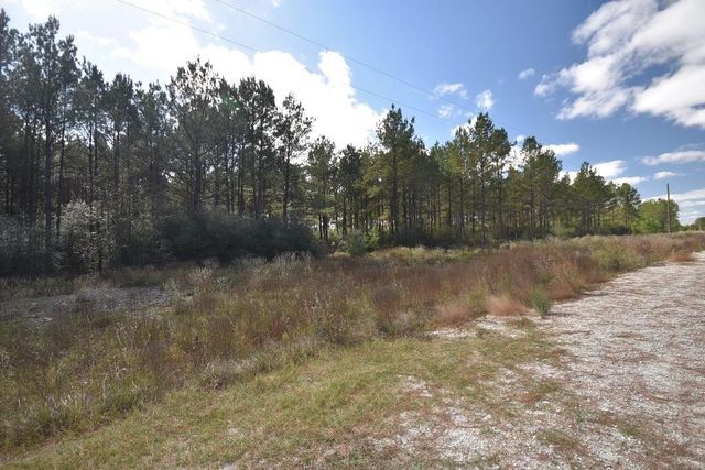 0 Bo Brown Road, Trinity, TX 75862