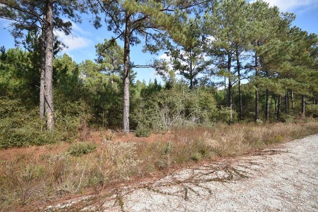 0 Bo Brown Road, Trinity, TX 75862