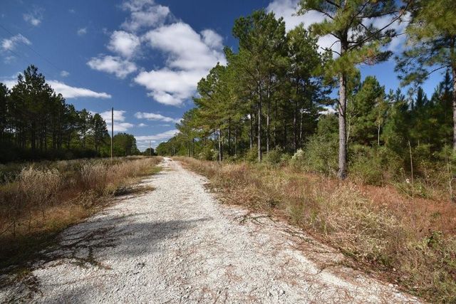 0 Bo Brown Road, Trinity, TX 75862