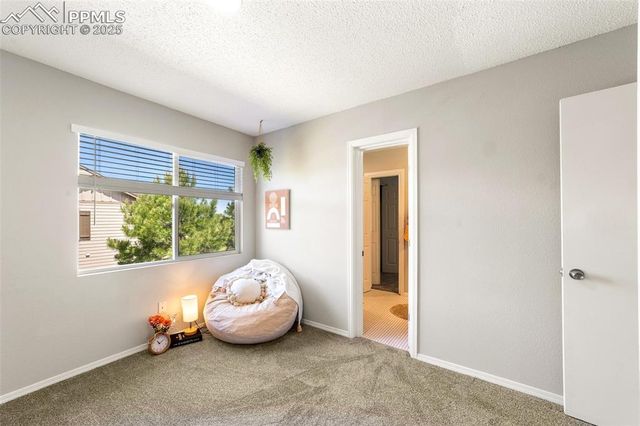 1140 Magic Lamp Way 4, Monument, CO 80132