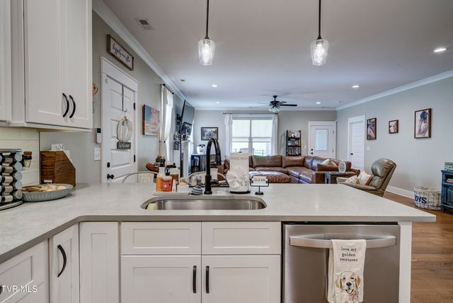 301 Princeton Gardens Drive, Johnson City, TN 37601