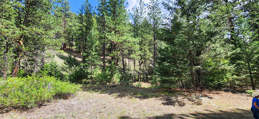 NHN Upper Sawmill Creek Lane, Cascade, MT 59421 photo 3