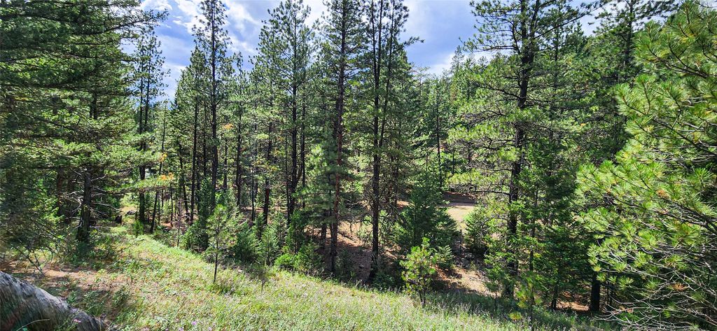 NHN Upper Sawmill Creek Lane, Cascade, MT 59421 photo 5