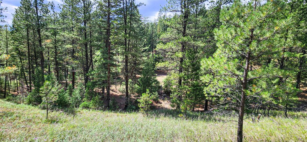 NHN Upper Sawmill Creek Lane, Cascade, MT 59421 photo 6