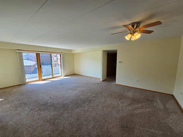 6860 Winding Trail 204, Oak Forest, IL 60452