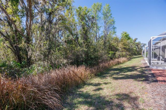 15843 FISHHAWK VIEW DRIVE, Lithia, FL 33547