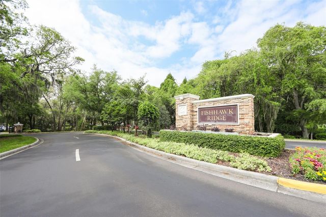 15843 FISHHAWK VIEW DRIVE, Lithia, FL 33547