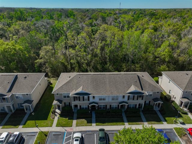 15843 FISHHAWK VIEW DRIVE, Lithia, FL 33547