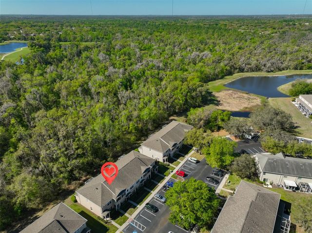15843 FISHHAWK VIEW DRIVE, Lithia, FL 33547