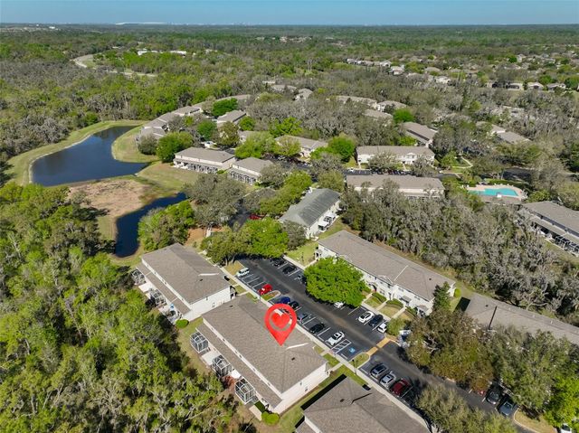 15843 FISHHAWK VIEW DRIVE, Lithia, FL 33547