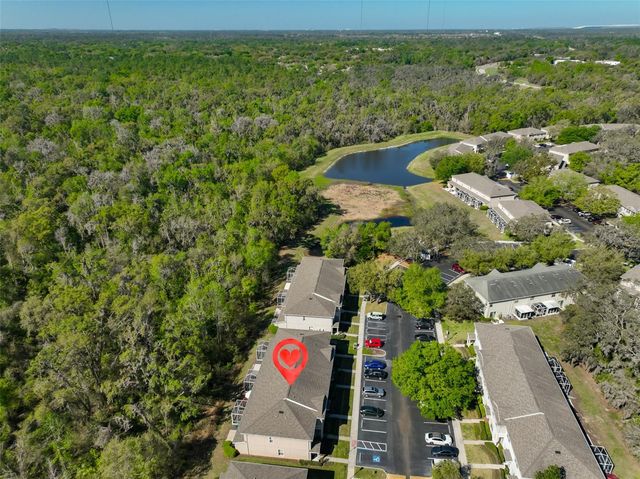 15843 FISHHAWK VIEW DRIVE, Lithia, FL 33547