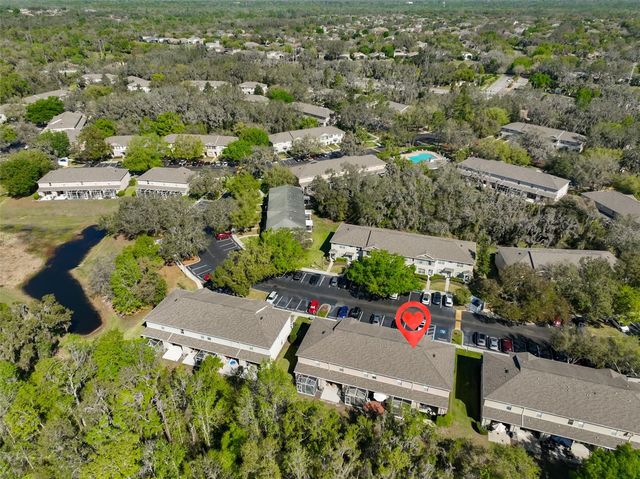 15843 FISHHAWK VIEW DRIVE, Lithia, FL 33547