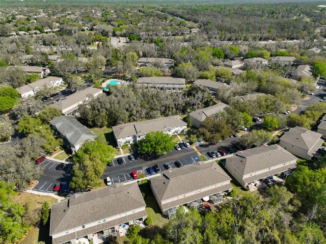 15843 FISHHAWK VIEW DRIVE, Lithia, FL 33547