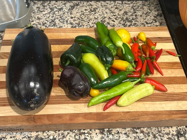 2727 Luna Lane, Winterville, NC 28590