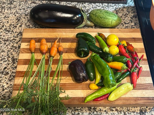 2727 Luna Lane, Winterville, NC 28590