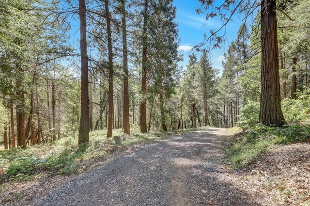 9718 Forsythe Rd, Dobbins, CA 95935