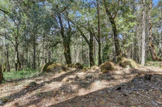 9718 Forsythe Rd, Dobbins, CA 95935