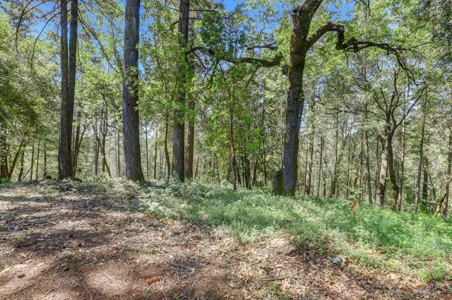 9718 Forsythe Rd, Dobbins, CA 95935