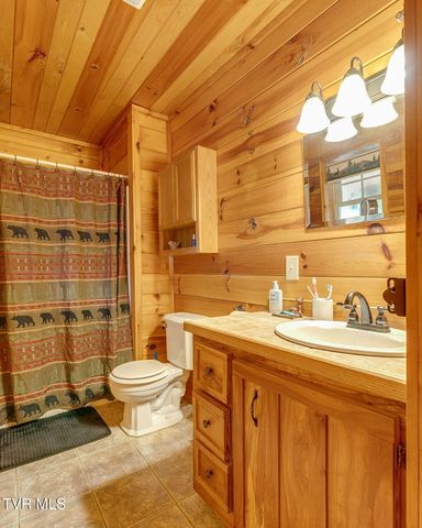 1025 Old Iron Mtn Road, Unicoi, TN 37692