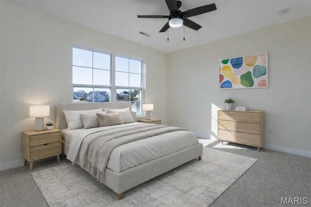 652 Tea Olive Way, O'fallon, IL 62269