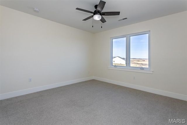 652 Tea Olive Way, O'fallon, IL 62269