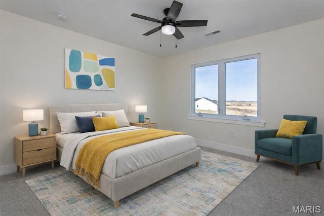 652 Tea Olive Way, O'fallon, IL 62269