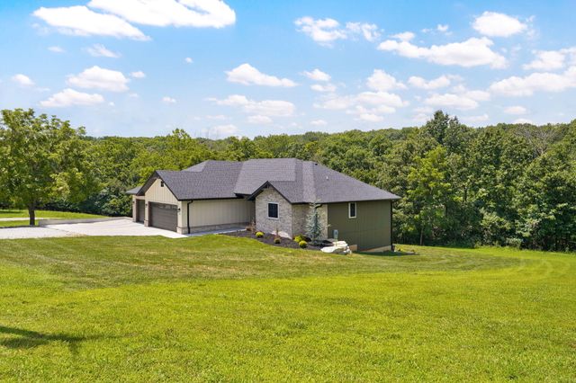 385 Plumtree Drive, Ozark, MO 65721