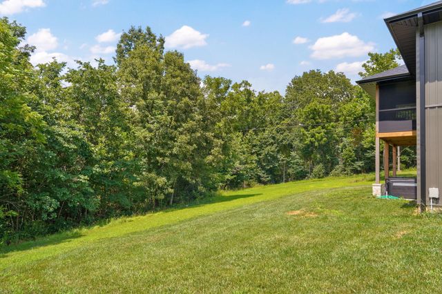 385 Plumtree Drive, Ozark, MO 65721