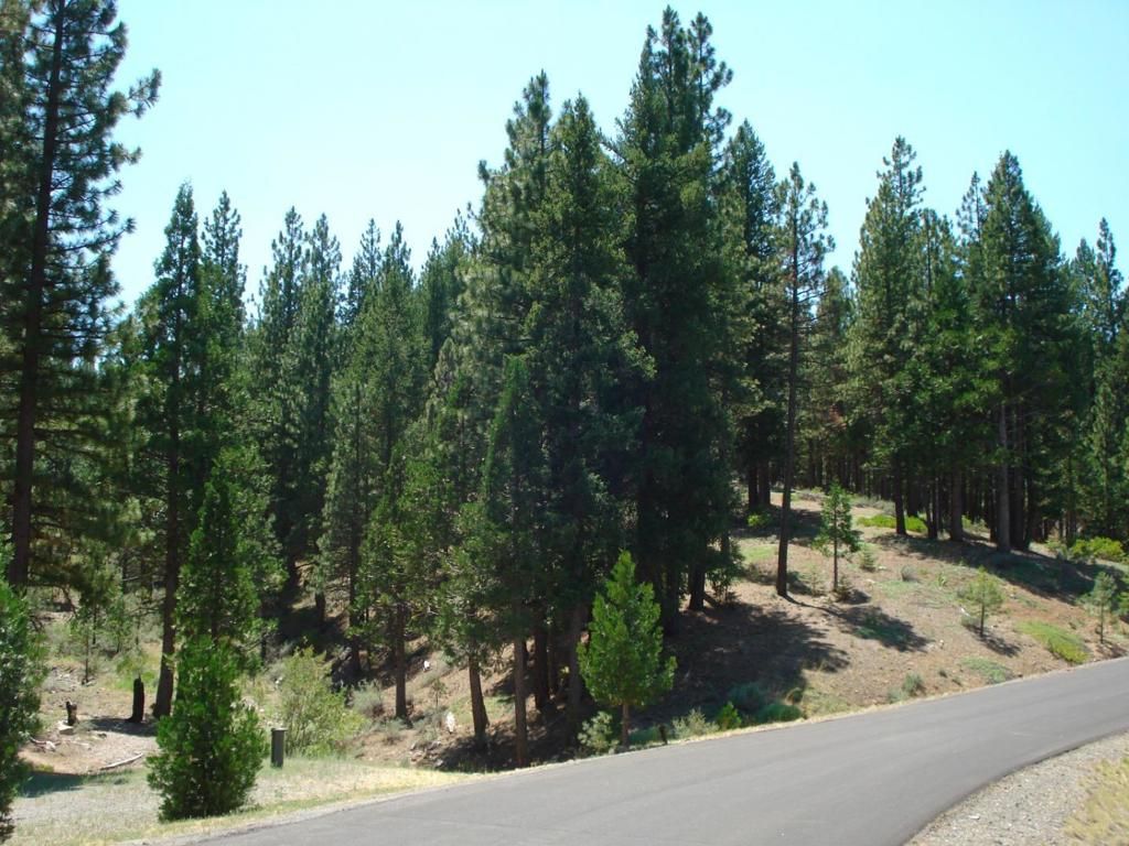 Image 1 of property listing at 976 Moon Shadow, Portola, CA 96122
